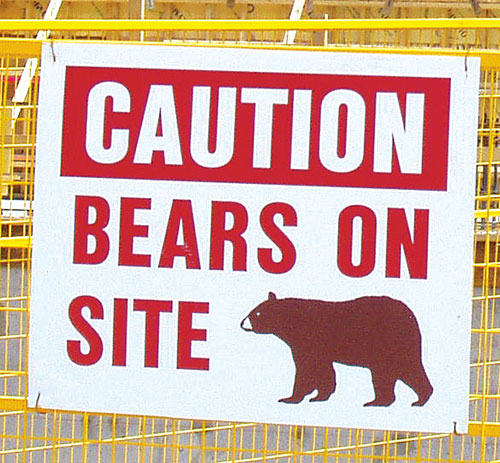 bear sign