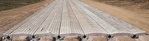 cattle shed floor